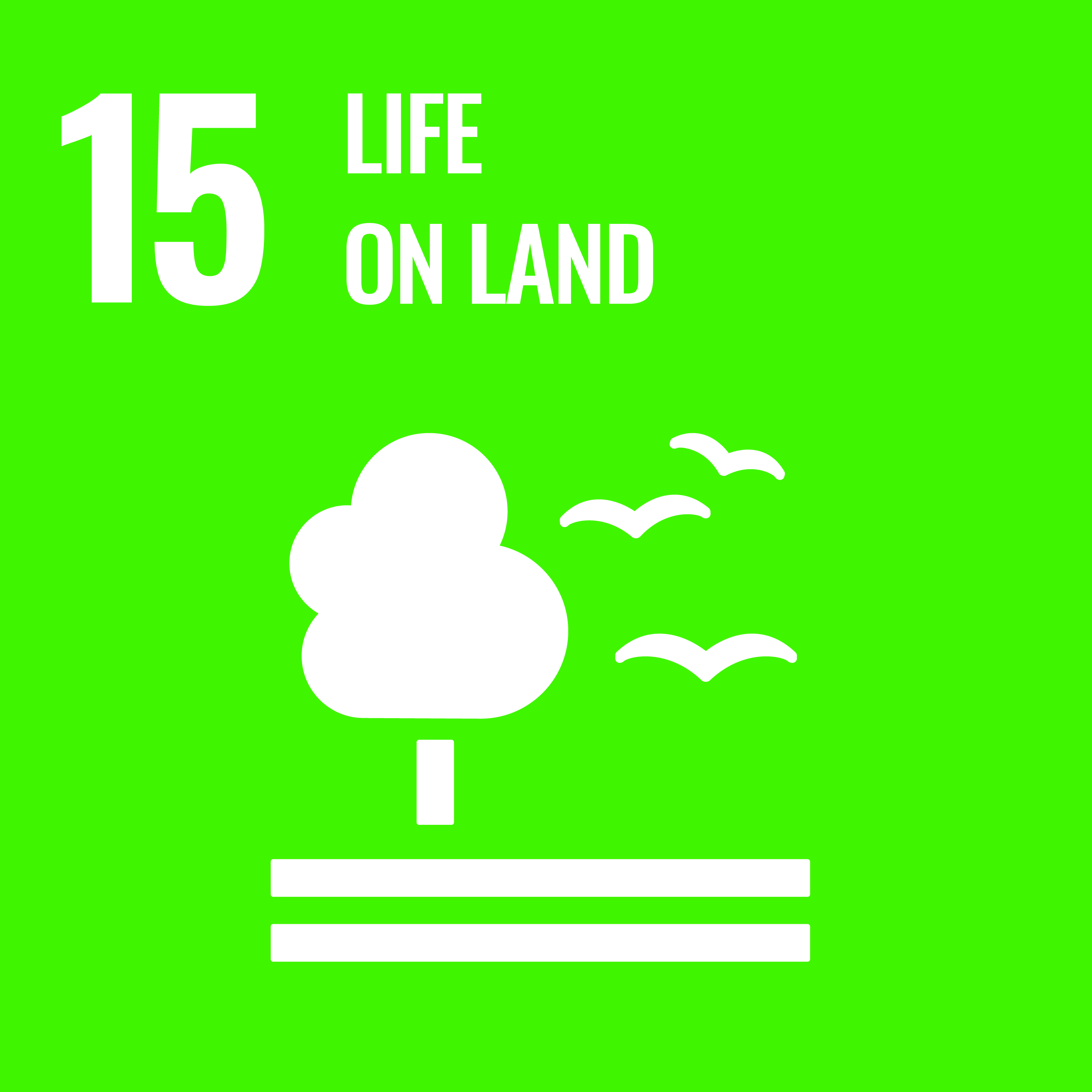 UEMF SDG1 report 2021